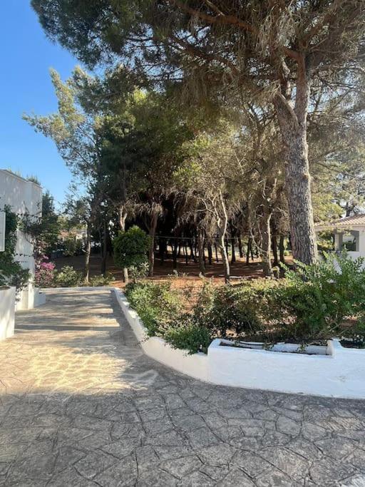 Villa Bouganville 2 Ostuni Eksteriør billede